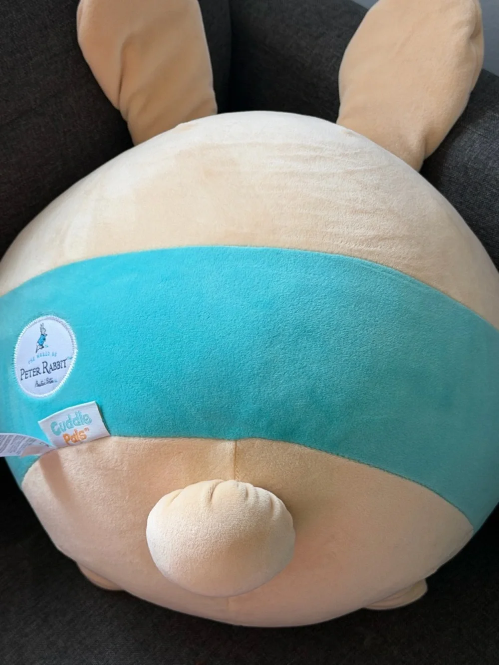 Peter Rabbit cuddle pal - Picture 2 of 2